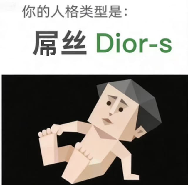 Dior-s (屌丝)